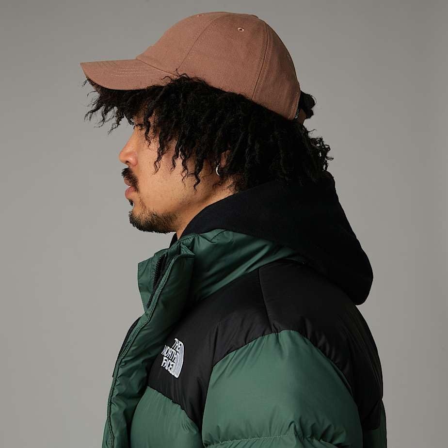 image:imageThe North Face Norm Baseball Hat Shallow Fit Ball Cap with Embroidered Logo Adjustable Strap Closure amp Silver BuckleLatte