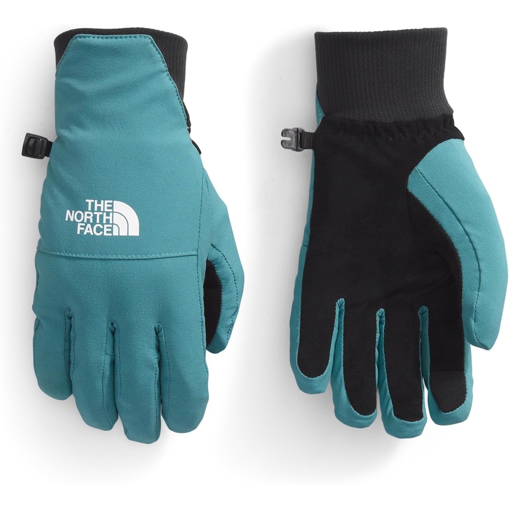 image:imageThe North Face womens Shelbe Raschel Etip Glove Insulated amp Water Repellent Touchscreen Compatible Soft Fleece LiningAlgae Blue