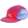 Cyber Berry/Virtual Blue/Hibiscus