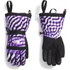 TNF Purple The Lift Print