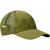Forest Olive