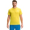 Dijon Yellow