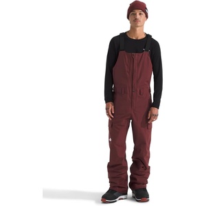 THE NORTH FACE mens Freedom Ski and Snow Bib | Waterproof, Built-in Gaiter, Mesh Lined Breathability(Sumac)