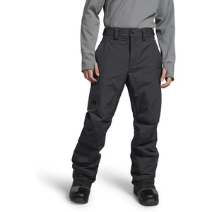 The North Face Men’s Freedom Pant Asphalt Grey(Asphalt Grey-npf)