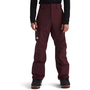 The North Face Men’s Freedom Pants(Alpine Plum)