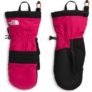 The North Face Montana Insulated Ski Mitt | Touchscreen Compatible Gloves, Water & Wind Resistant, Fleece Lined, Pairing Clip(Lali Guran)