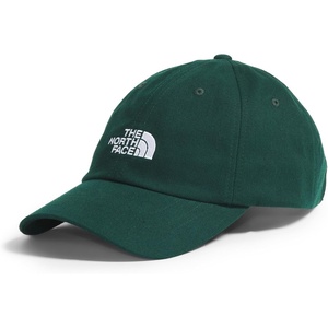 The North Face Norm Baseball Hat | Shallow Fit Ball Cap with Embroidered Logo, Adjustable Strap Closure & Silver Buckle(Hunter Green)