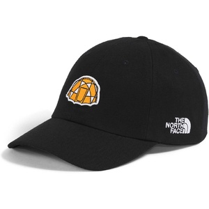 The North Face Norm Baseball Hat | Shallow Fit Ball Cap with Embroidered Logo, Adjustable Strap Closure & Silver Buckle(Tnf Black/2-meter Dome Patch)