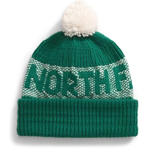 The North Face Unisex Adult Retro Cabin Beanie(Evergreen/White Dune)