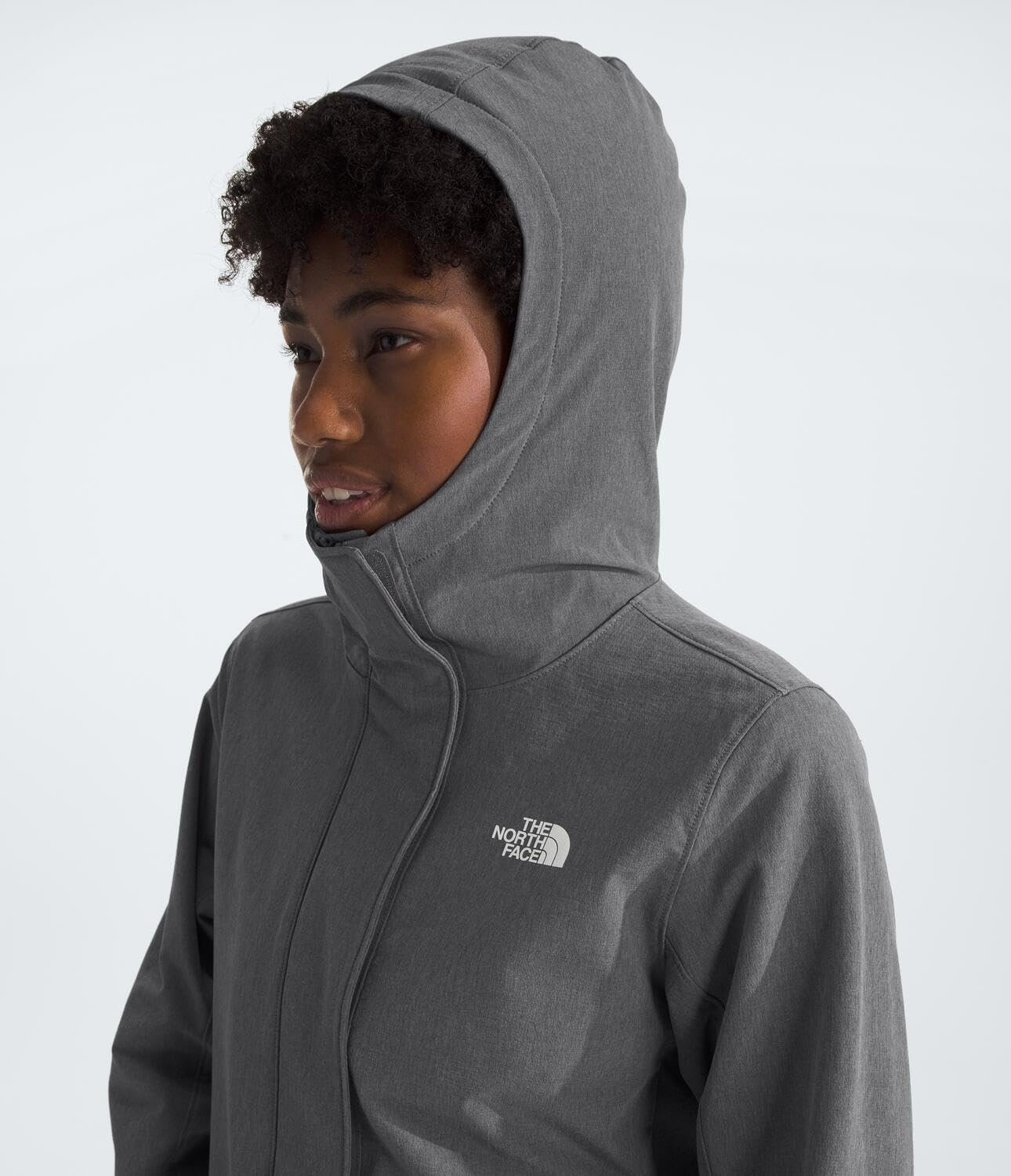 image:imageTHE NORTH FACE Womens Shelbe Raschel Hooded Parka Fleece Lining Attached Hood Zip Pockets Wind amp Water ResistantSmoked Pearl Heather