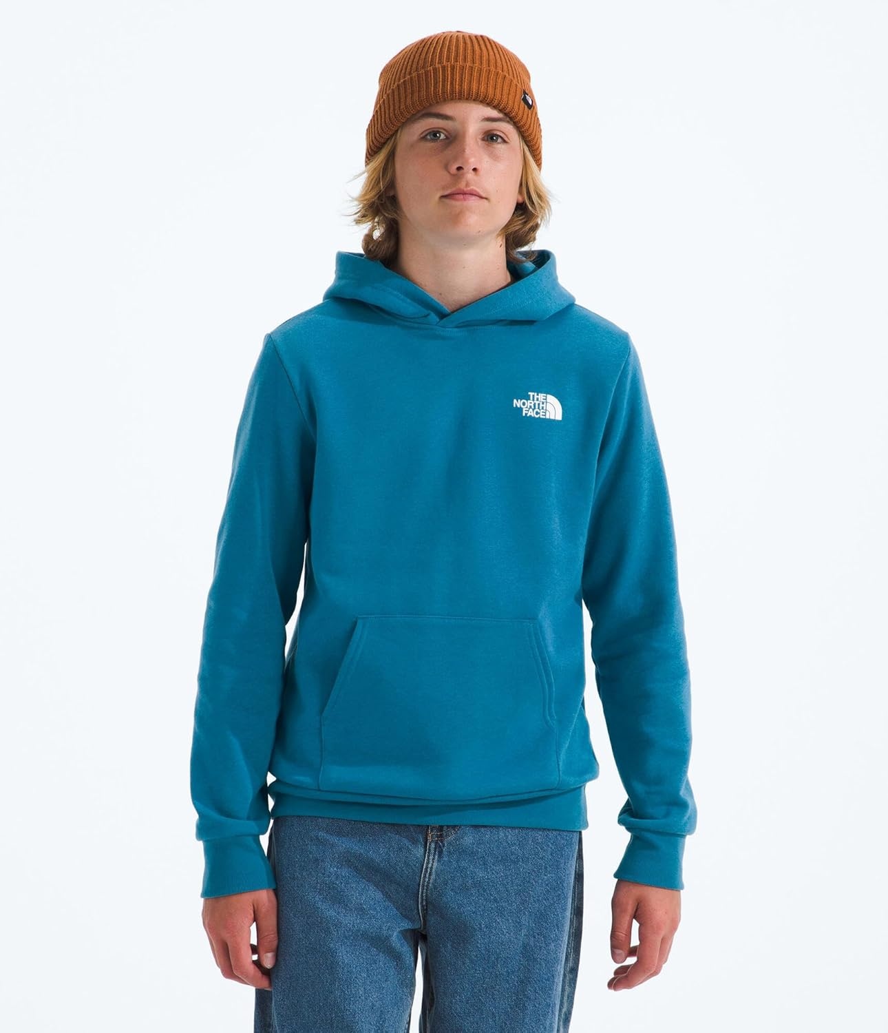 image:imageThe North Face Kids Evolution Box Logo Nse Pullover Hoodie Hooded Sweatshirt for Boys amp Girls Kangaroo Hand PocketDusk Blue