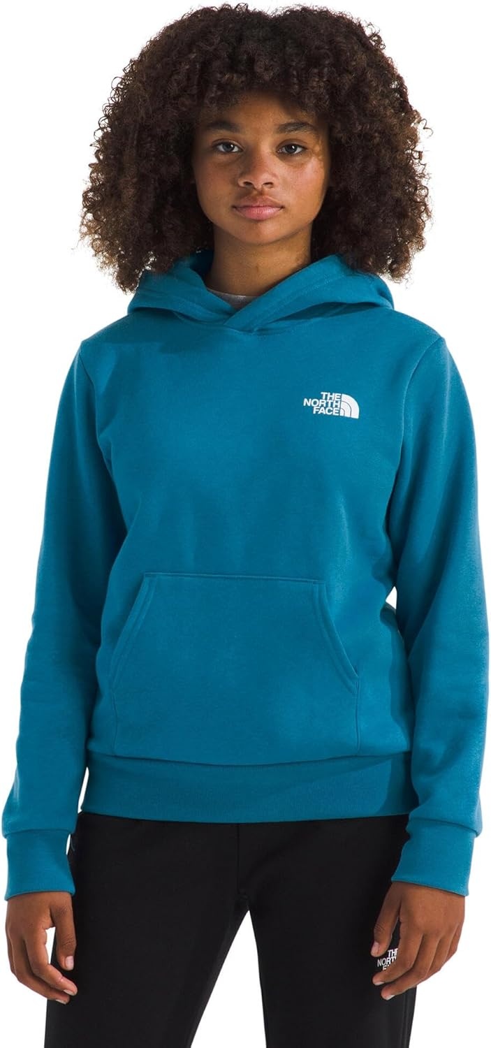image:imageThe North Face Kids Evolution Box Logo Nse Pullover Hoodie Hooded Sweatshirt for Boys amp Girls Kangaroo Hand PocketDusk Blue