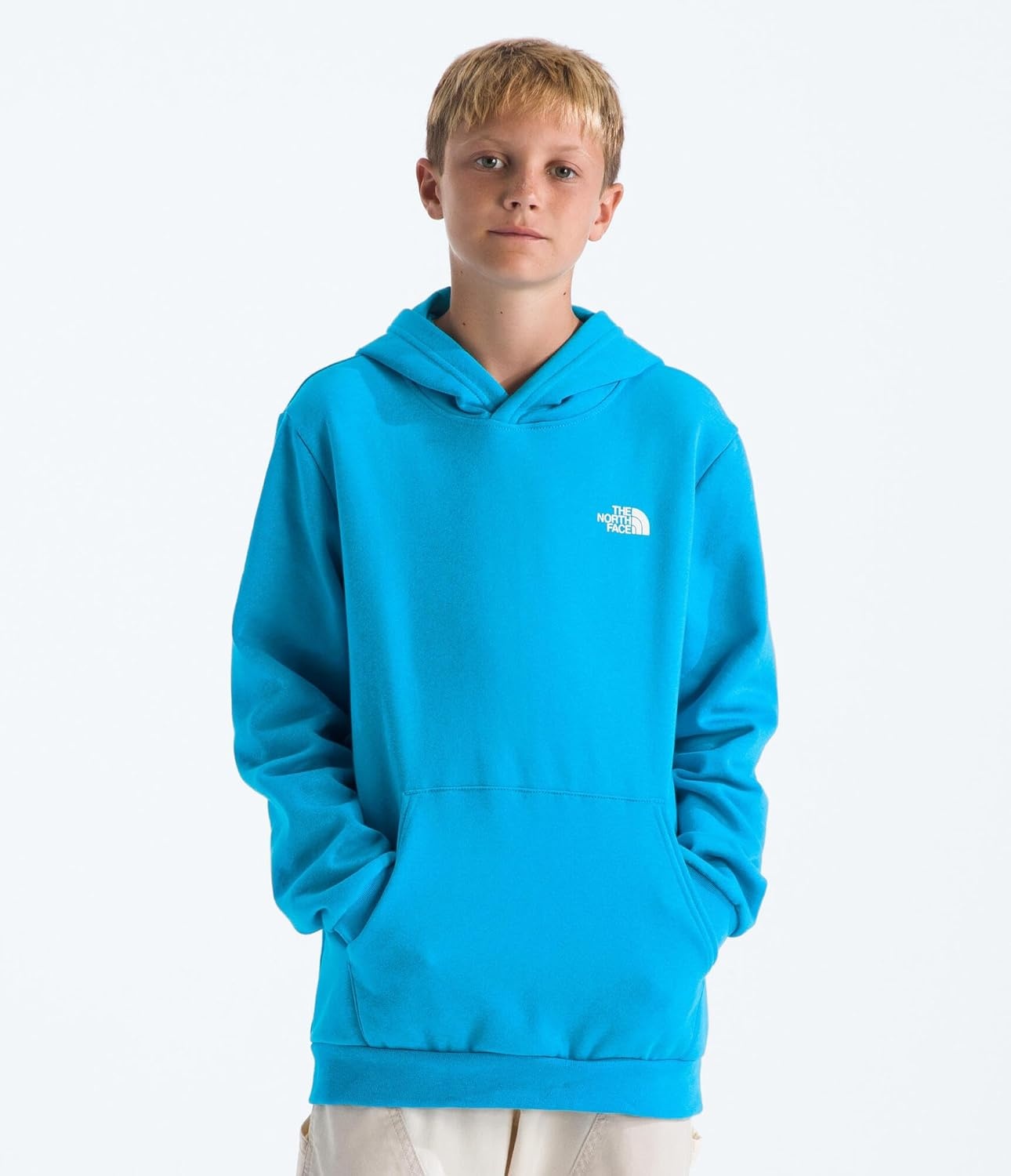 image:imageThe North Face Kids Evolution Box Logo Nse Pullover Hoodie Hooded Sweatshirt for Boys amp Girls Kangaroo Hand PocketMeridian Blue