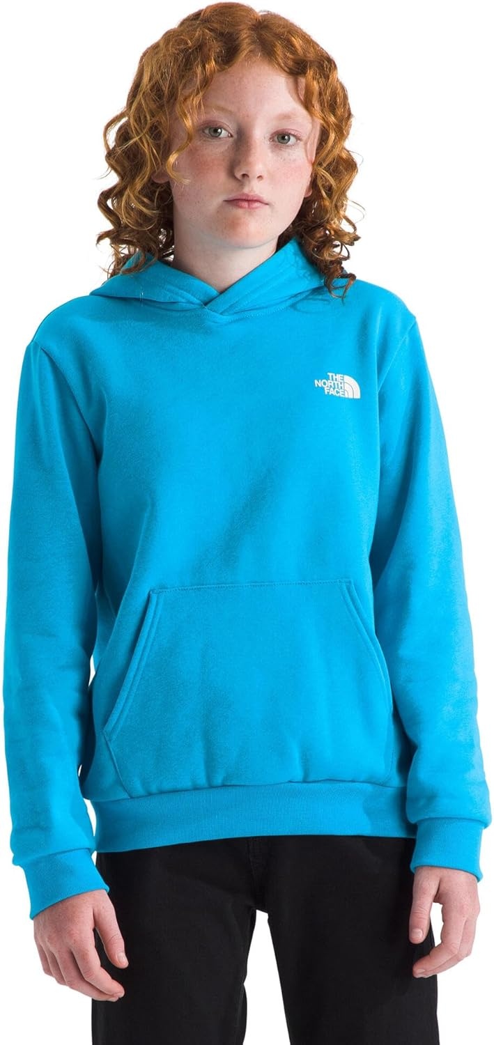 image:imageThe North Face Kids Evolution Box Logo Nse Pullover Hoodie Hooded Sweatshirt for Boys amp Girls Kangaroo Hand PocketMeridian Blue