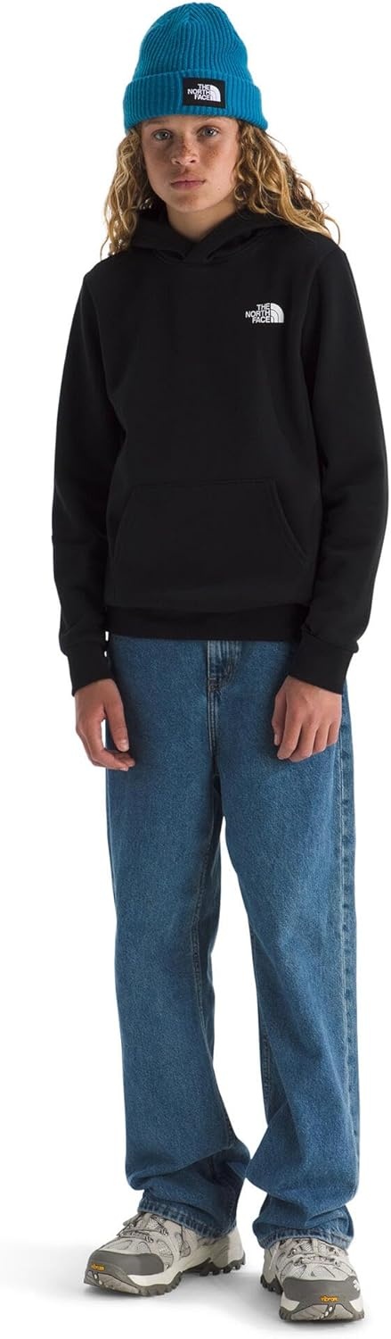 image:imageThe North Face Kids Evolution Box Logo Nse Pullover Hoodie Hooded Sweatshirt for Boys amp Girls Kangaroo Hand PocketTnf Black