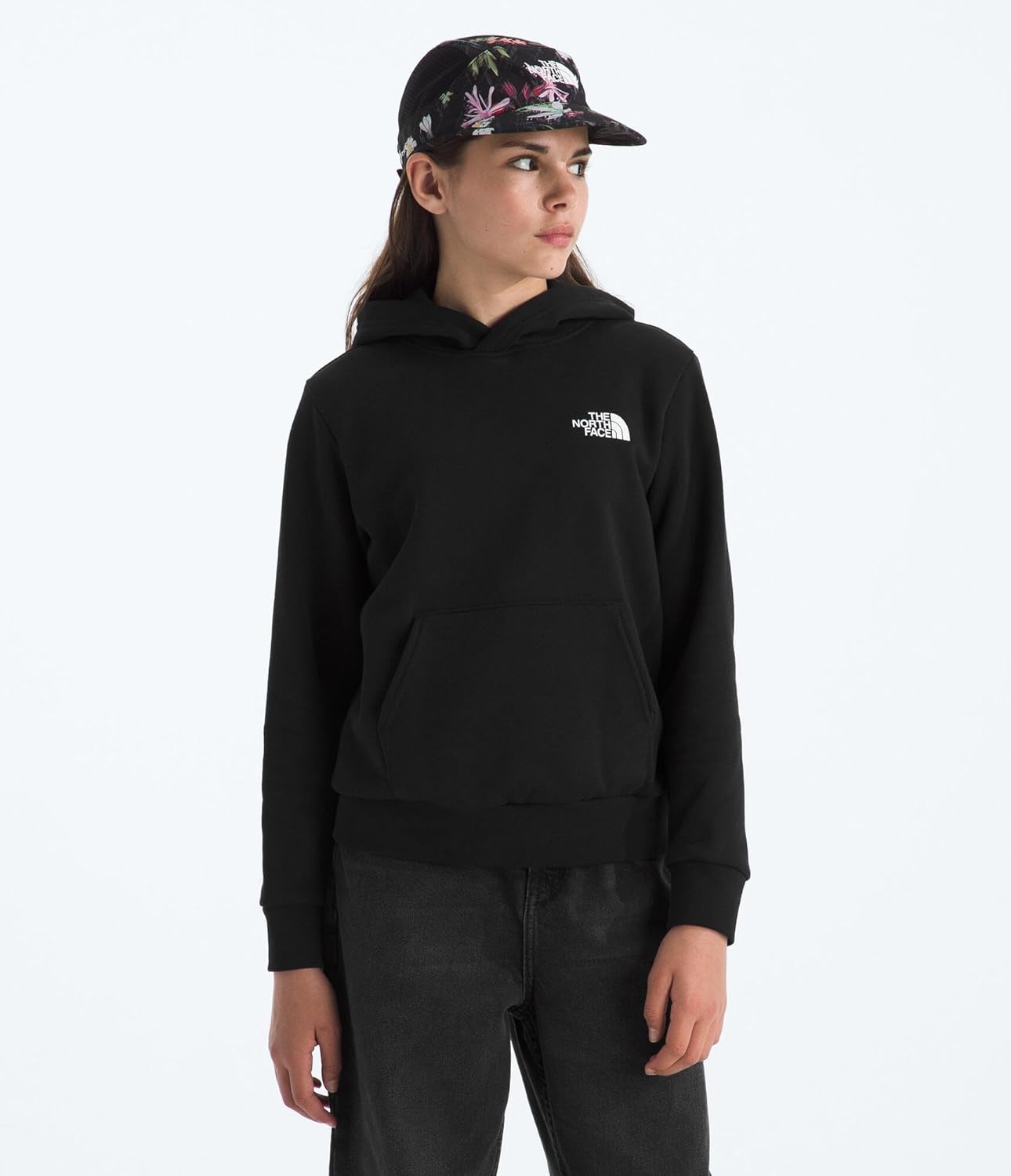 image:imageThe North Face Kids Evolution Box Logo Nse Pullover Hoodie Hooded Sweatshirt for Boys amp Girls Kangaroo Hand PocketTnf Black