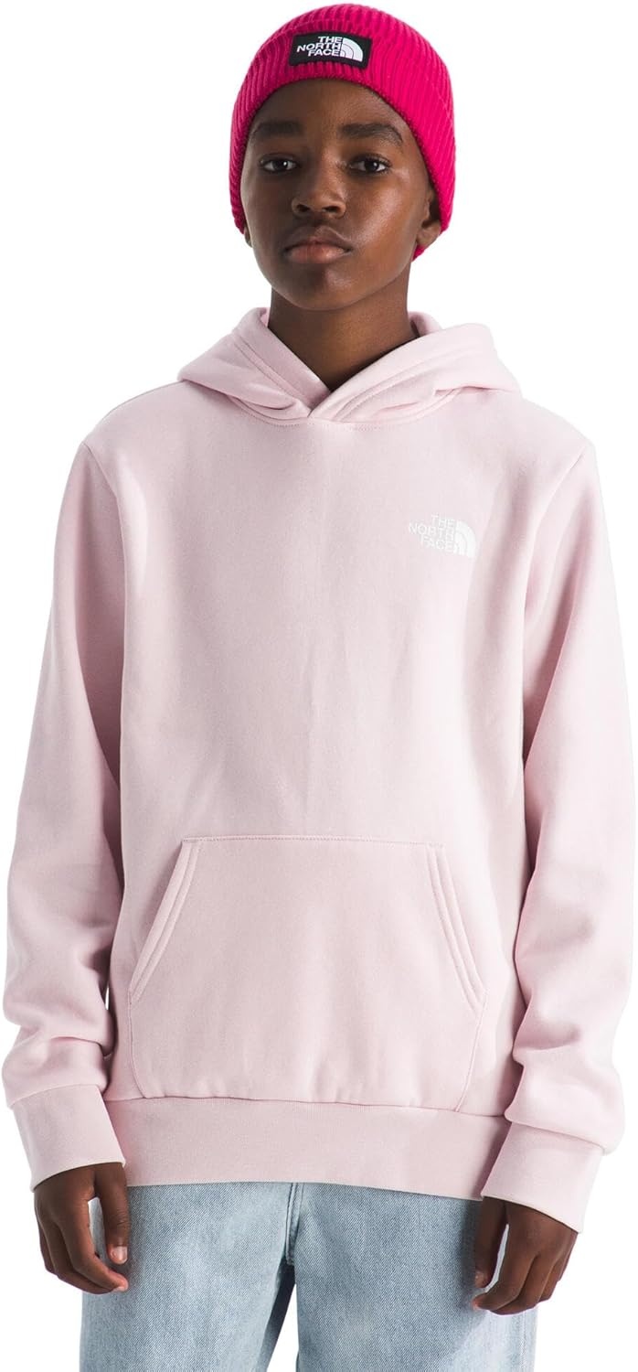 image:imageThe North Face Kids Evolution Box Nse Pullover Graphic HoodiePale BlossomLali Guran Regenerative Ink Print