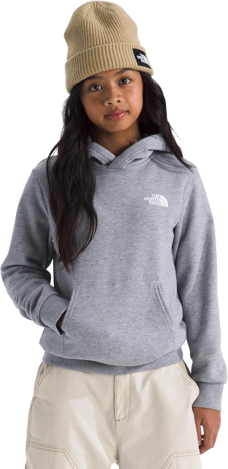 image:imageThe North Face Kids Evolution Box Nse Pullover Graphic HoodieTnf Pale Grey HeatherSummit Gold Regenerative Ink Print