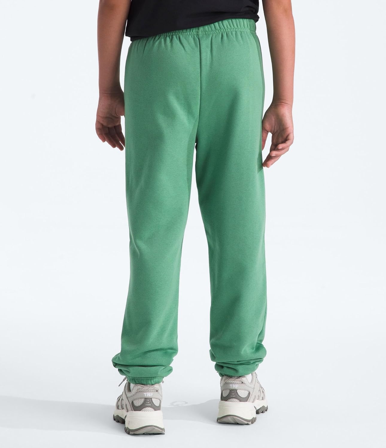 image:imageThe North Face UnisexAdult Teen Evolution Emb Pants Little KidsBig KidsDimmed Algae