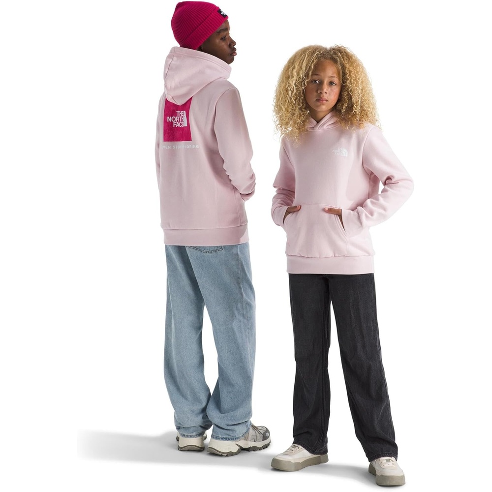 image:imageThe North Face Kids Evolution Box Nse Pullover Graphic HoodiePale BlossomLali Guran Regenerative Ink Print
