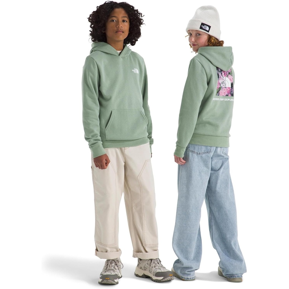 image:imageThe North Face Kids Evolution Box Nse Pullover Graphic HoodieSlate Moss