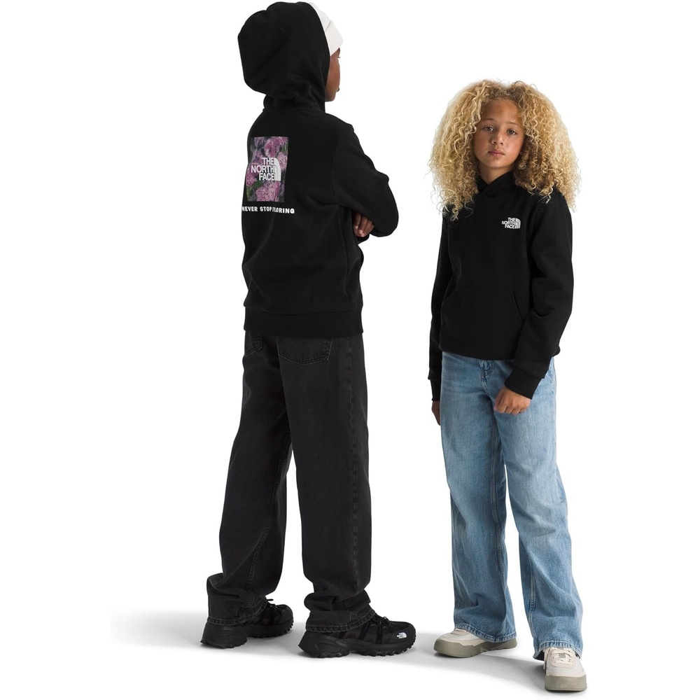 image:imageThe North Face Kids Evolution Box Nse Pullover Graphic HoodieTnf Black