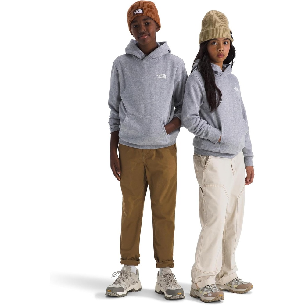 image:imageThe North Face Kids Evolution Box Nse Pullover Graphic HoodieTnf Pale Grey HeatherSummit Gold Regenerative Ink Print