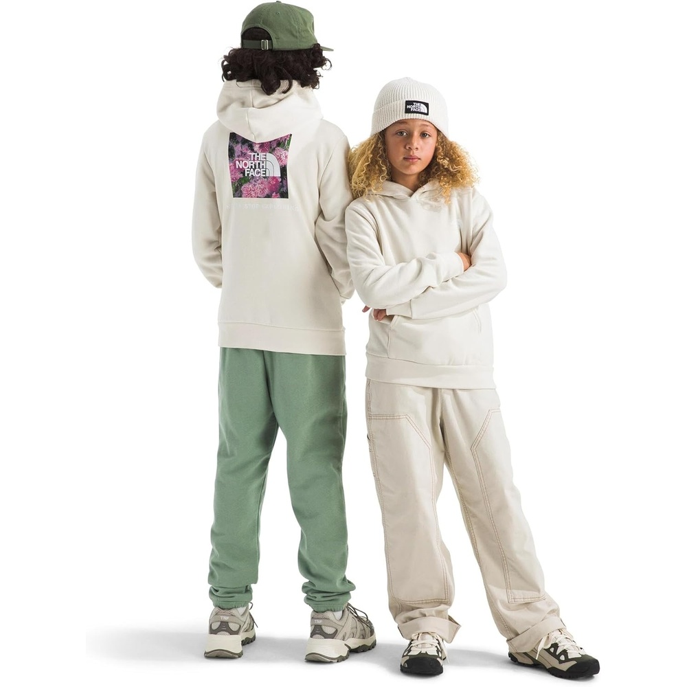 image:imageThe North Face Kids Evolution Box Nse Pullover Graphic HoodieWhite Dune