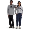 Tnf Pale Grey Heather