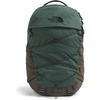 Duck Green/New Taupe Green