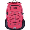 Raspberry Red/Tnf Black