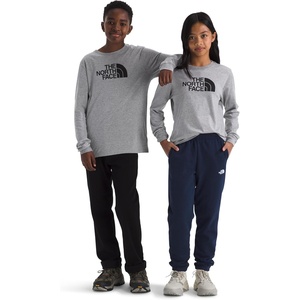 THE NORTH FACE Evolution Half Dome Long-sleeve Tee | Cotton Shirt for Boys & Girls With a Front Logo Graphic & Set-in Sleeves(Tnf Pale Grey Heather)