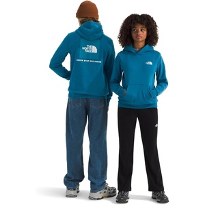 The North Face Kids’ Evolution Box Logo Nse Pullover Hoodie – Hooded Sweatshirt for Boys & Girls, Kangaroo Hand Pocket(Dusk Blue)