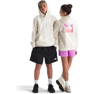 The North Face Kids’ Evolution Box Logo Nse Pullover Hoodie – Hooded Sweatshirt for Boys & Girls, Kangaroo Hand Pocket(White Dune)