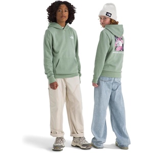 The North Face Kids’ Evolution Box Nse Pullover Graphic Hoodie(Slate Moss)