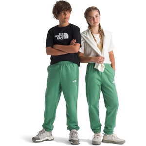The North Face Unisex-Adult Teen Evolution Emb Pants (Little Kids/Big Kids)(Dimmed Algae)