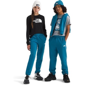 The North Face Unisex-Adult Teen Evolution Emb Pants (Little Kids/Big Kids)(Summit Navy)