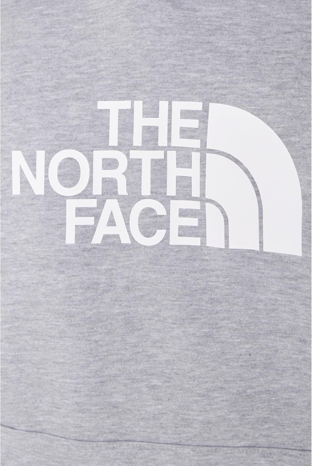 image:imageTHE NORTH FACE Mens Evolution Half Dome Hoodie Sweatshirt With 2 Piece Hood Adjustable Drawcord Kangaroo Hand PocketTnf Pale Grey Heather