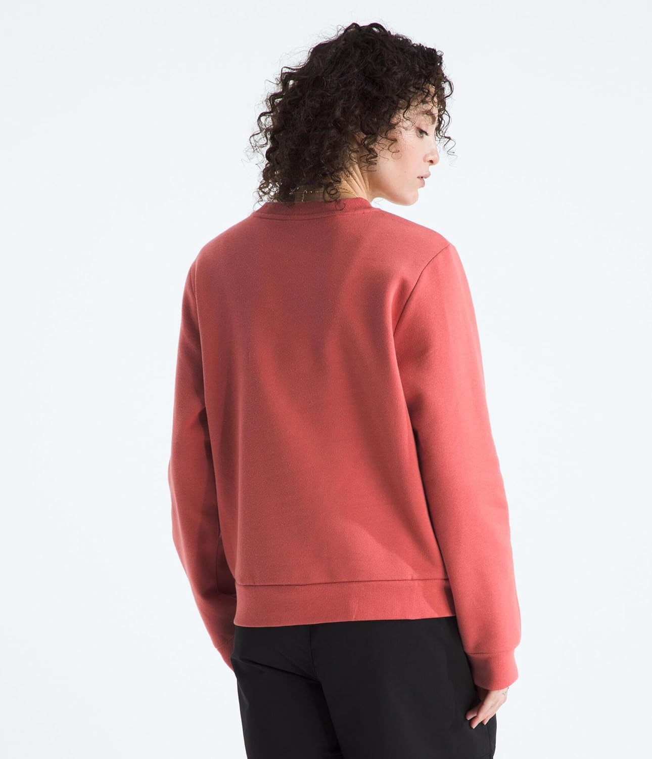 image:imageThe North Face Evolution Simple Dome Regular CrewMars Dust