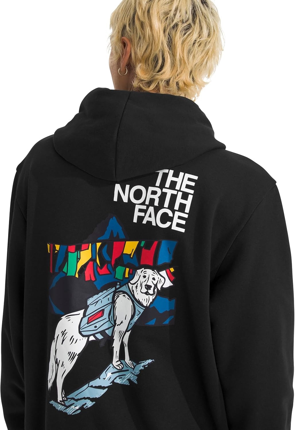 image:imageThe North Face Mens Sunlit Summit Hoodie Casual Pullover Sweatshirt With Bold Graphic Designs Kangaroo Hand PocketTnf Black