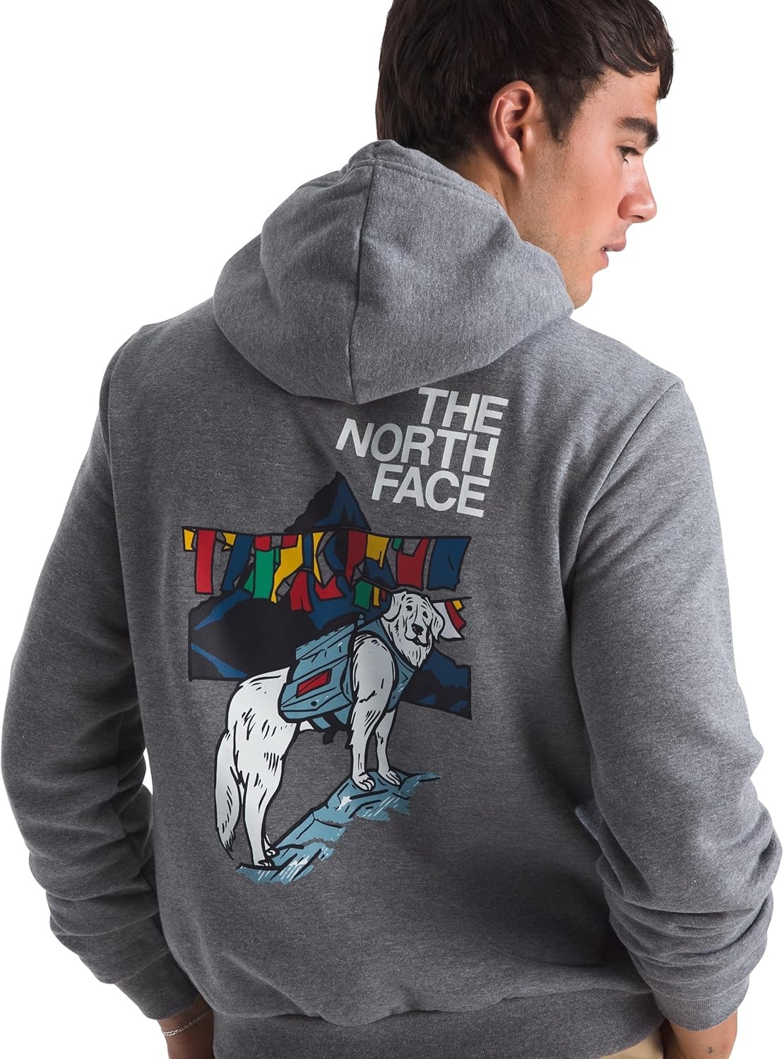 image:imageThe North Face Mens Sunlit Summit Hoodie Casual Pullover Sweatshirt With Bold Graphic Designs Kangaroo Hand PocketTnf Mid Grey Heather