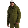 Forest Olive