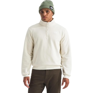 The North Face Evolution Simple Dome Regular 1/4 Zip(White Dune)